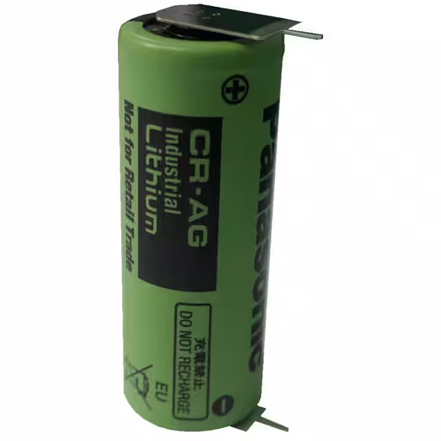 CR-AGDE5N Panasonic - BSG  Piles non rechargeables (primaires)